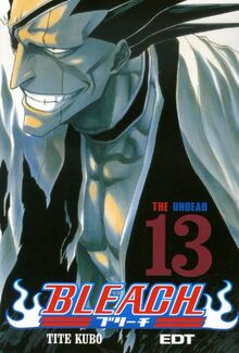 Bleach 13 (Shonen Manga, Band 13)