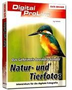 Das Geheimnis beeindruckender Natur- und Tierfotos. Intensivkurs für die digitale Fotografie von Ingo Seehafer | Buch | Zustand sehr gut