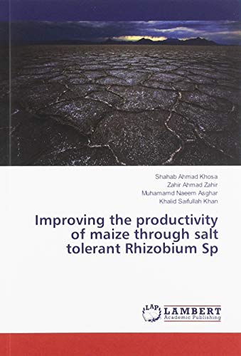Improving the productivity of maize through salt tolerant Rhizobium Sp