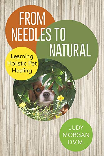 Judy Morgan From Needles To Natural, Learning Holistic Pet Healing