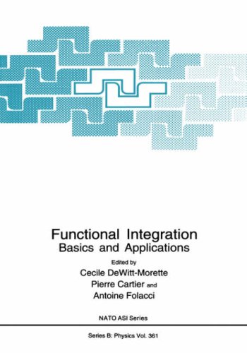 Functional Integration: Basics and Applications (Nato Science Series B: (closed))