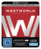 Westworld Staffel 1: Das Labyrinth (4K Ultra HD + 2D-Blu-ray) (6-Disc Version)