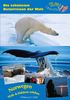 Spitzbergen & Eisbären erleben: Die schönsten Naturreisen der Welt