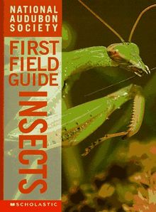 Insects (Audubon Guides)