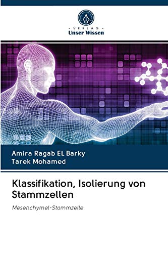 Klassifikation, Isolierung von Stammzellen: Mesenchymel-Stammzelle