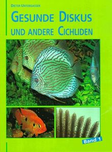 Gesunde Diskus und GrossCichliden, Bd.1 von Untergasser, Dieter | Buch | Zustand sehr gut