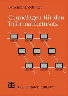 Grundlagen für den Informatikeinsatz. (XLeitfäden der Informatik)