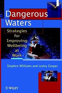 Dangerous Waters: Strategies for Improving Wellbeing at Work (Wiley Series in Work, Well-Being and Stress)