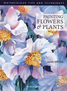 Painting Flowers and Plants (Watercolour Painting Tips & Techniques)