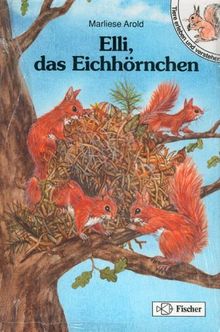 Elli, das Eichhörnchen. Tiere erleben und verstehen. Grossschrift