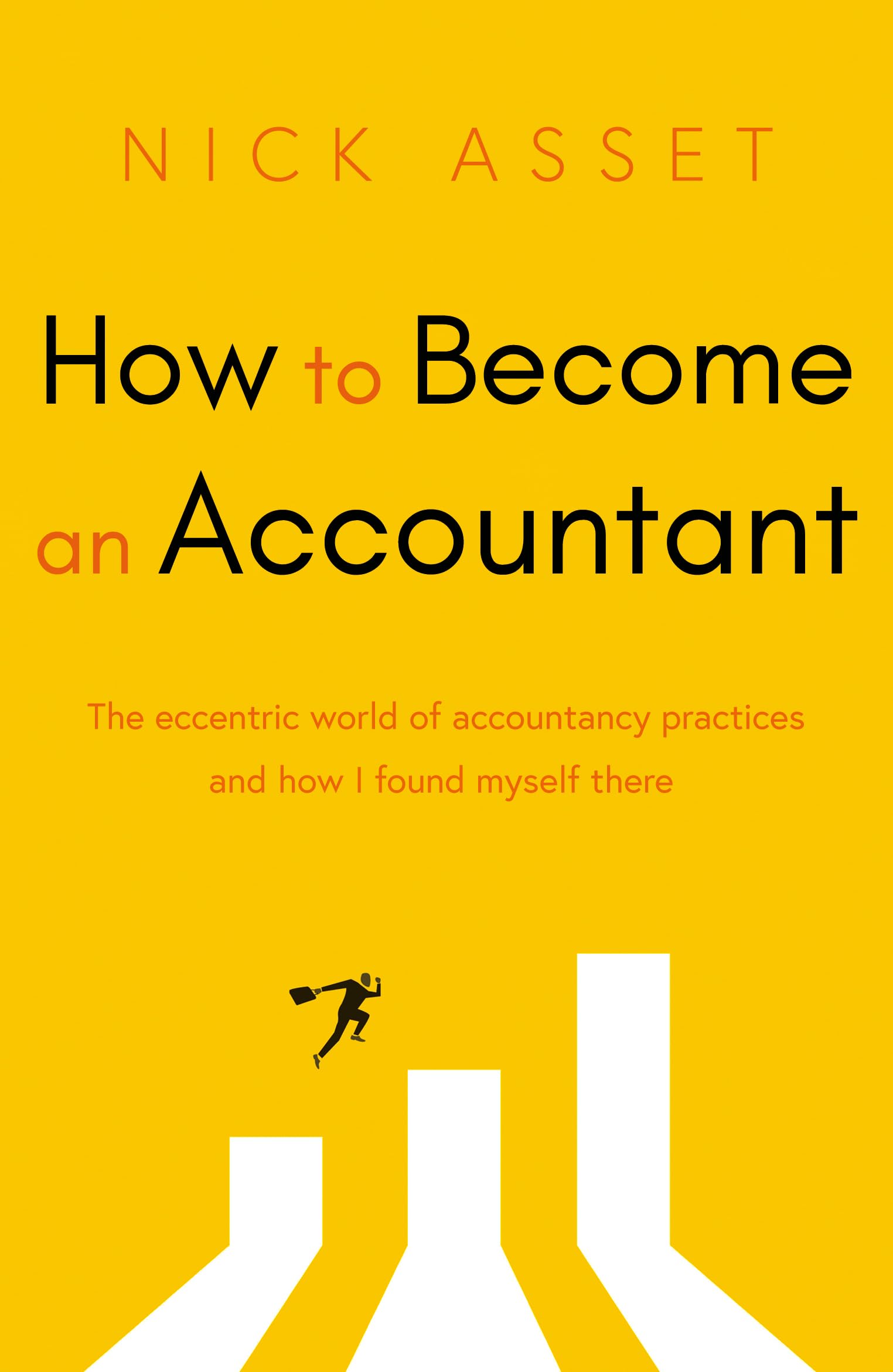 Nick Asset How To Become An Accountant, The Eccentric World Of Accountancy Practices And How I Found Myself There