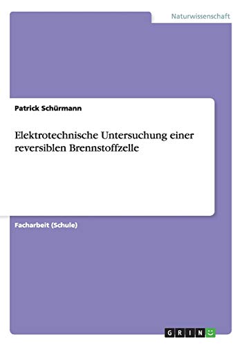 Elektrotechnische Untersuchung einer reversiblen Brennstoffzelle