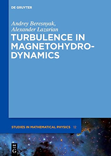 Turbulence in Magnetohydrodynamics (De Gruyter Studies in Mathematical Physics, Band 12)