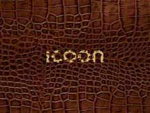 ICOON global picture dictionary (croco) - Bildwörterbuch