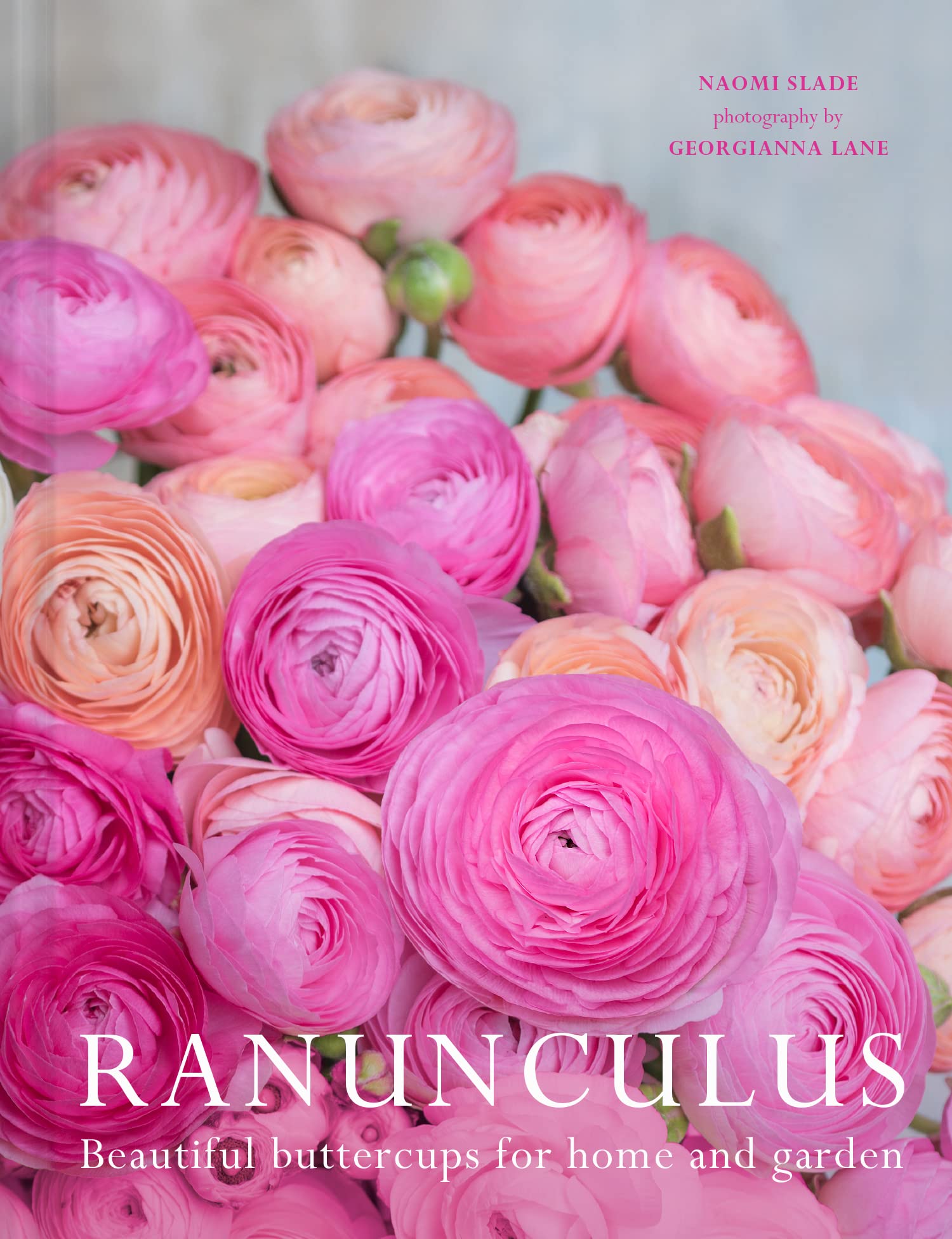 Ranunculus: The ultimate flower guide for growing, flowering and cutting varieties for the home and gardening