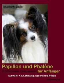 Papillon und Phalène (Kontinentaler Zwergspaniel) für Anfänger: Kauf, Auswahl, Haltung, Gesundheit, Pflege