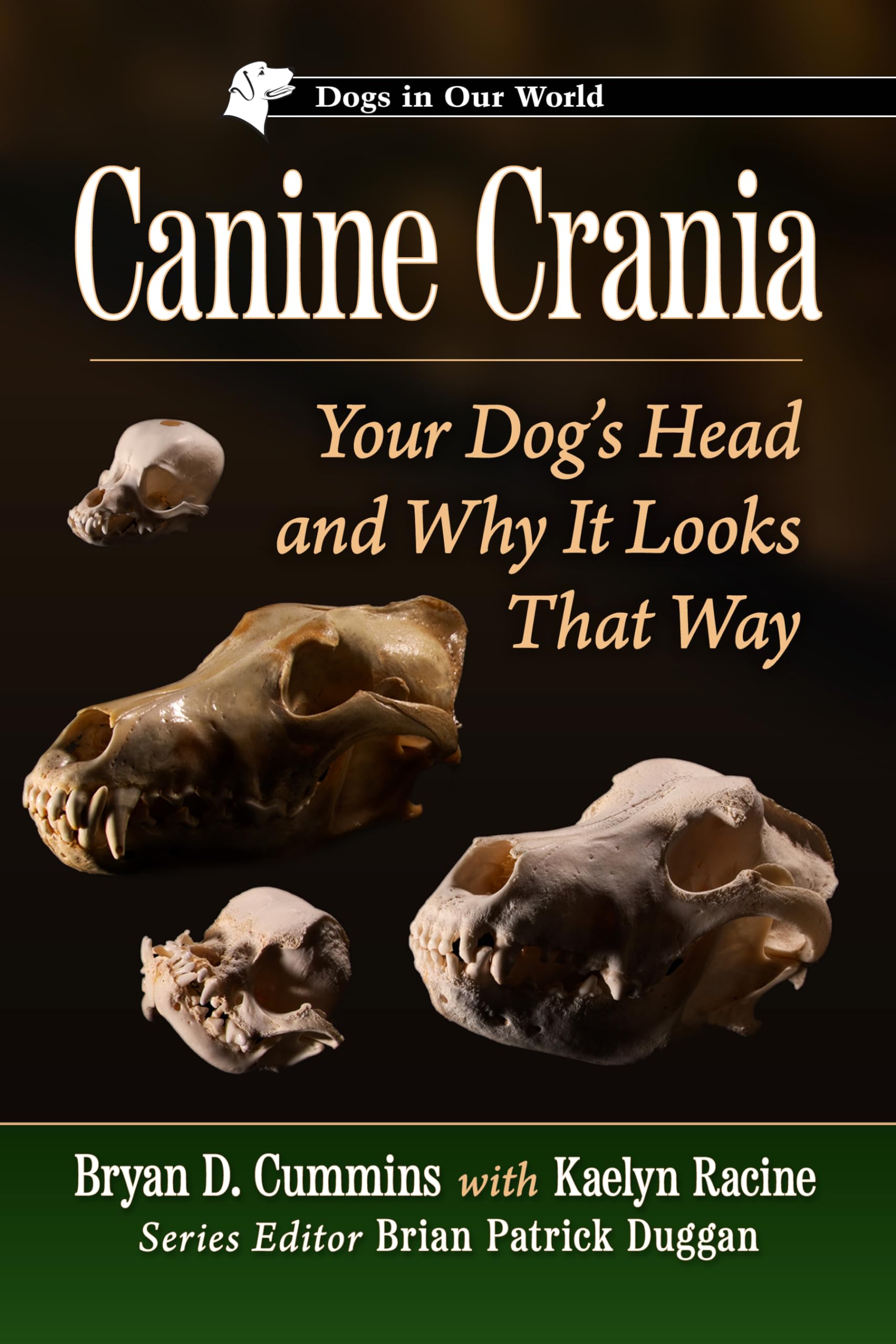 Canine Crania: Your Dog's Head and Why It Looks That Way (Dogs in Our World)