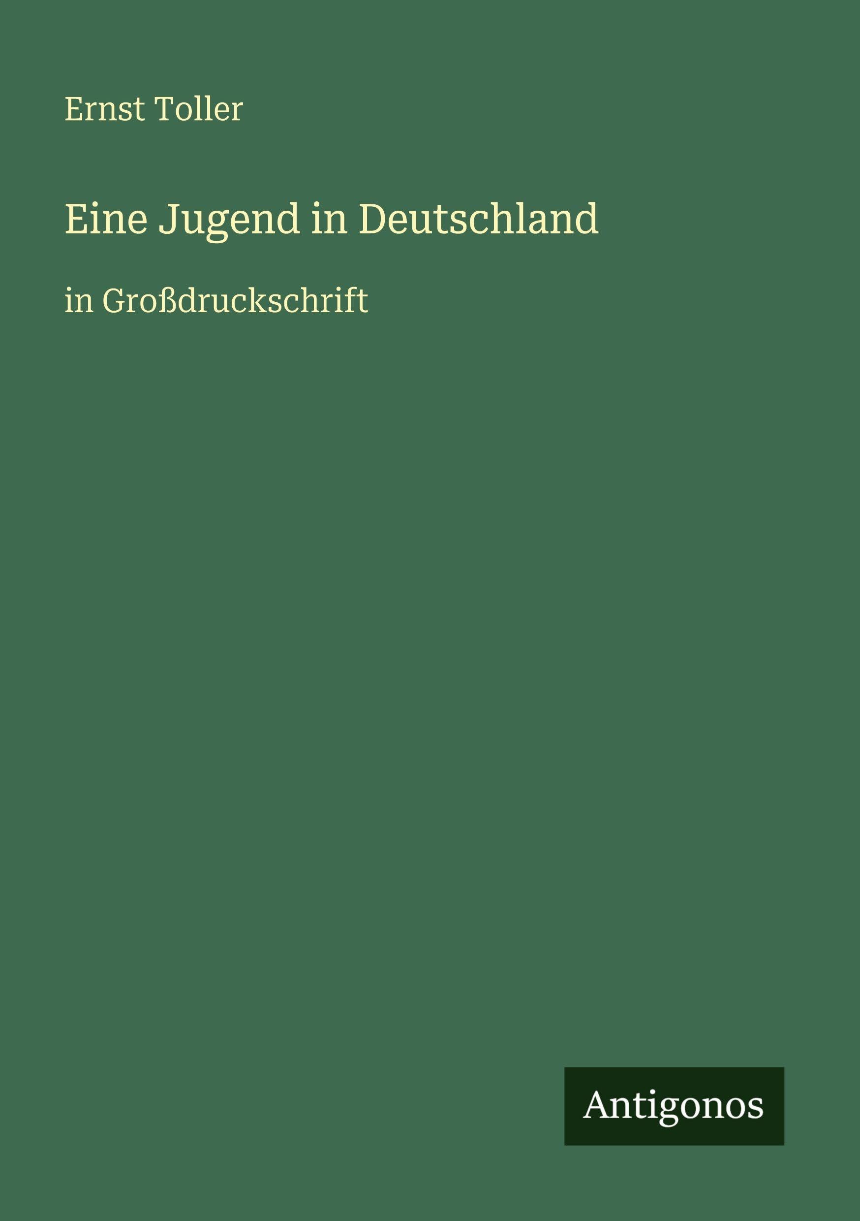 Eine Jugend in Deutschland: in Großdruckschrift