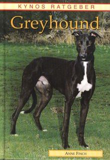 Greyhound