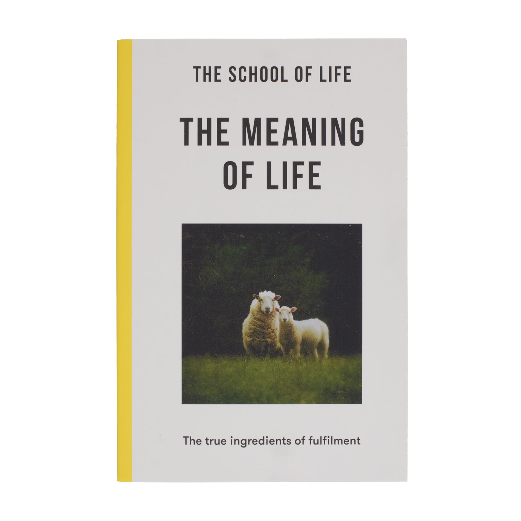 The School of Life The Meaning Of Life, The True Ingredients Of Fulfilment