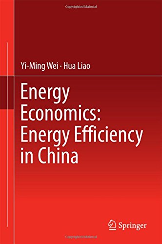 Energy Economics: Energy Efficiency in China