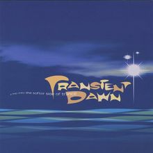 Transient Dawn von Various | CD | Zustand sehr gut