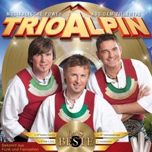 Das Beste mit 40 Hits aus 25 Jahren - Musikalische Power aus dem Zillertal von Trio Alpin | CD | Zustand gut
