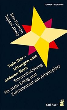 Twin Star - Lösungen von anderen Stern: Teamentwicklung für mehr Erfolg und Zufriedenheit am Arbeitsplatz