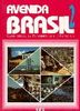 Avenida Brasil. Brasilianisches Portugiesisch für Anfänger in zwei Bänden: Avenida Brasil 2. Curso basico de Portugues para estrangeiros: BD 2