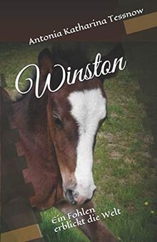 Winston: Ein Fohlen erblickt die Welt