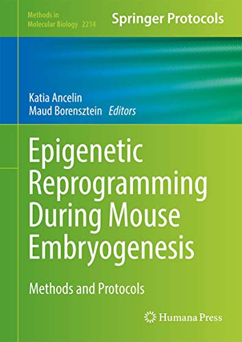 Epigenetic Reprogramming During Mouse Embryogenesis: Methods and Protocols (Methods in Molecular Biology, 2214, Band 2214)