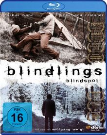 Blindlings - Blindspot [Blu-ray] von Wolfgang Weigl | DVD | Zustand sehr gut