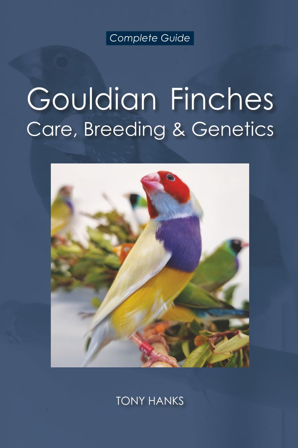 Gouldian Finches - Care, Breeding & Genetics: Complete Guide