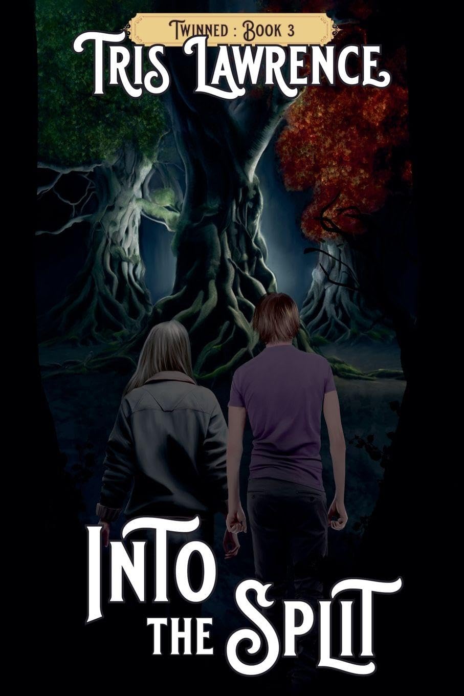 Into the Split (Twinned, Band 3)