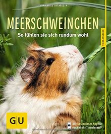 Meerschweinchen: So fühlen sie sich rundum wohl (GU Tierratgeber)