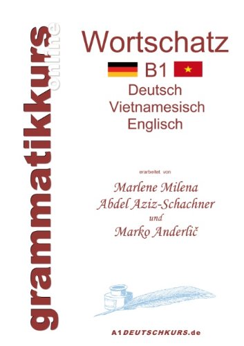 Wörterbuch Deutsch-Vietnamesisch-Englisch Niveau B1: Lernwortschatz + Grammatik + Gutschrift: 20 Unterrichtsstunden per Internet für die Integrations-Deutschkurs-TeilnehmerInnen aus Vietnam Niveau B1