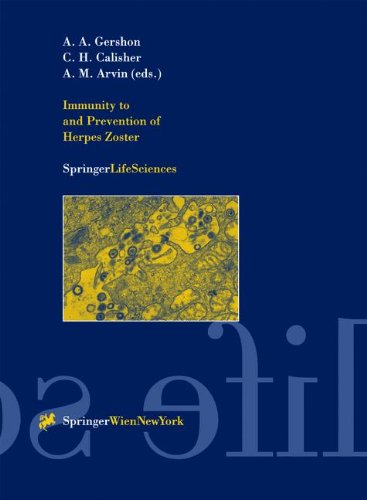 Immunity to and Prevention of Herpes Zoster (Archives of Virology. Supplementa)