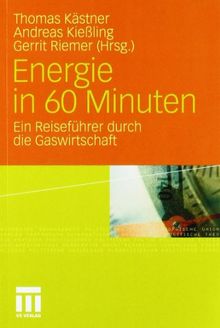 Energie in 60 Minuten: Ein Reiseführer durch die Gaswirtschaft: Ein Reiseführer durch die Gaswirtschaft. Mit einem Vorwort von Günther Öttinger