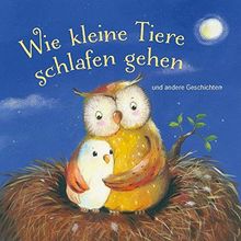 Wie kleine Tiere schlafen gehen und andere Geschichten - Hörbuch