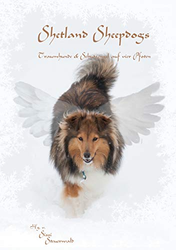Shetland Sheepdogs: Traumhunde & Schutzengel auf vier Pfoten