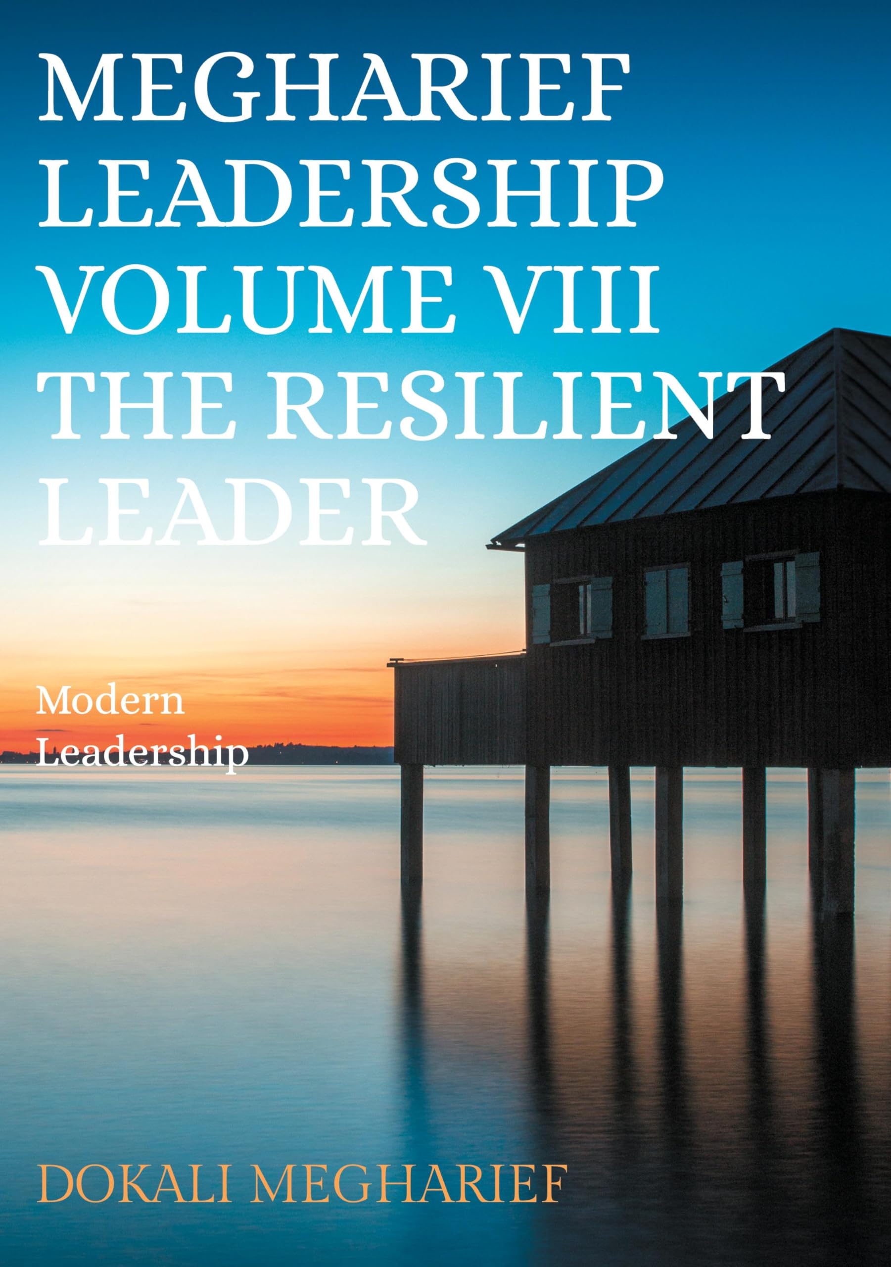 Megharief Leadership Volume VIII The resilient Leader: Modern Leadership