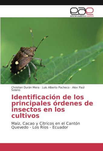 Identificación de los principales órdenes de insectos en los cultivos: Maíz, Cacao y Cítricos en el Cantón Quevedo - Los Ríos - Ecuador
