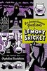 Les fausses bonnes questions de Lemony Snicket, Tome 2 : Quand l'avez-vous vue pour la dernière fois ?