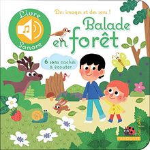 Balade en forêt