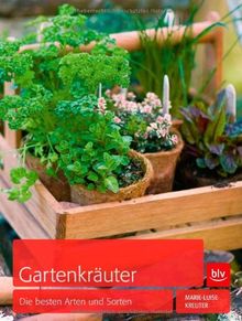 Gartenkräuter: Die besten Arten und Sorten