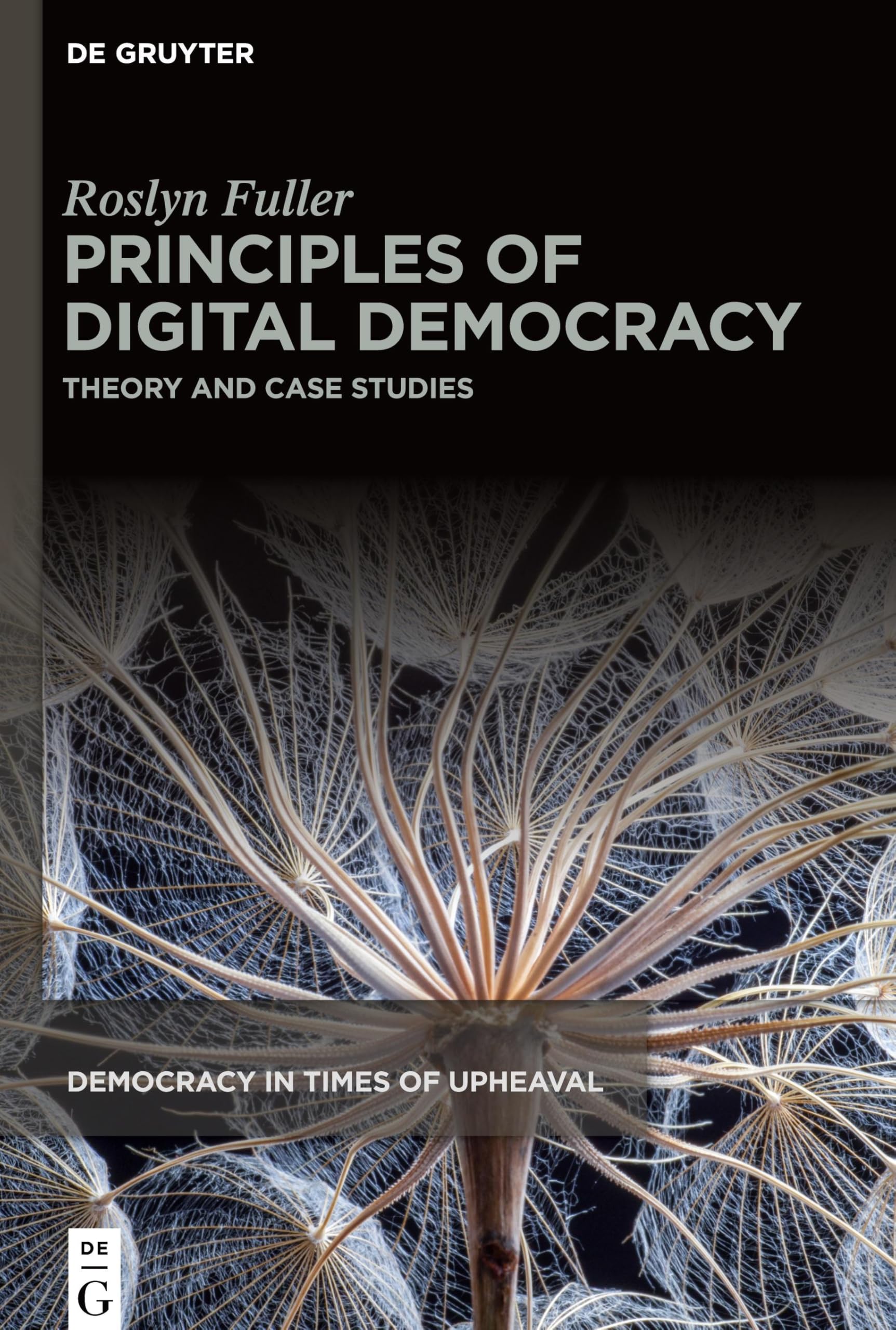 Principles of Digital Democracy: Theory and Case Studies (Democracy in Times of Upheaval, 8)