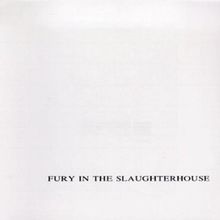 Fury in the Slaughterhouse
