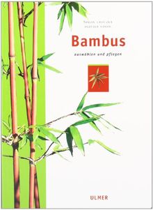 Bambus von Colin, Olivier, Crouzet, Simon | Buch | Zustand gut