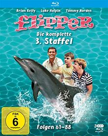 Flipper - Die komplette 3. Staffel [Blu-ray]