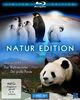 Natur Edition (Seen On IMAX: Antarctica / Das Weltnaturerbe: Schätze unserer Erde - Asien / Der große Panda) [Blu-ray] [Limited Collector's Edition]